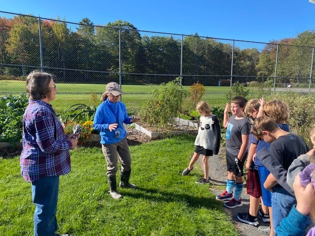 Gr 4 learns to harvest veggies at PES