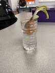 First Grade Hydroponic Onions