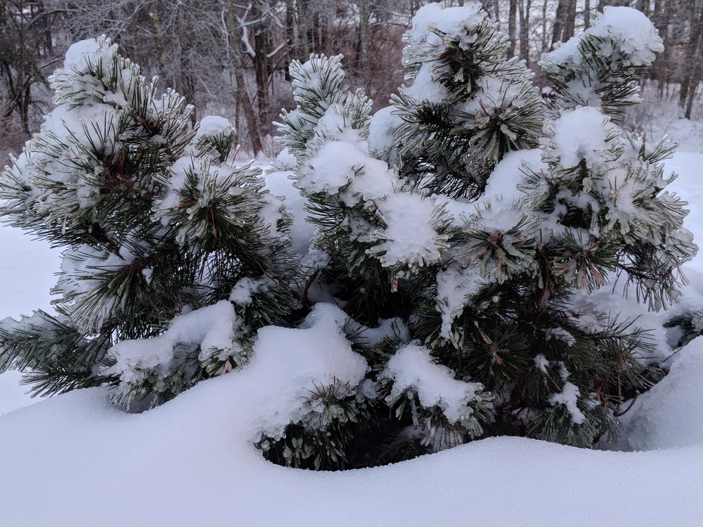 Snow Day Changes for RSU1