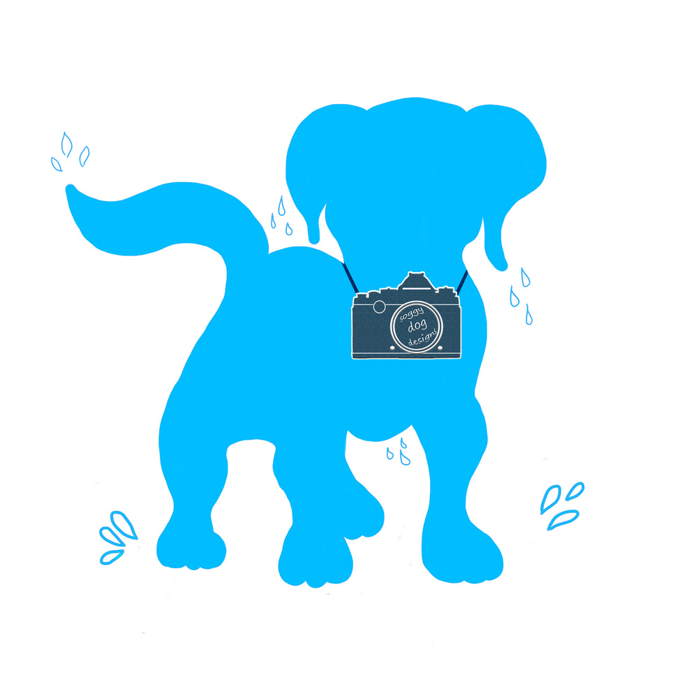 blue dog wet with camera around the neck