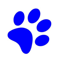 WCS Newsletter 1.31.20