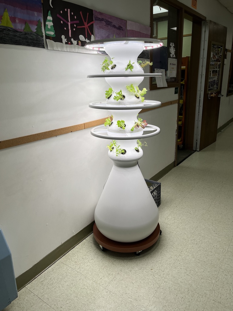 Hydroponic Planter