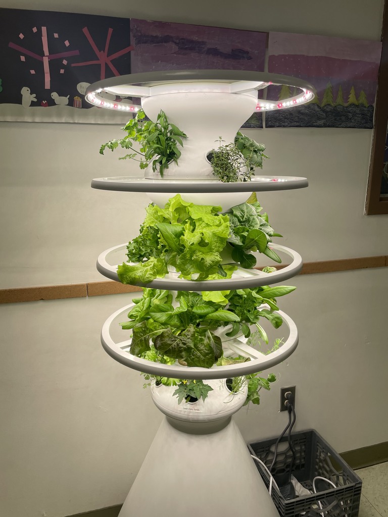 hydroponic grow stand with plants