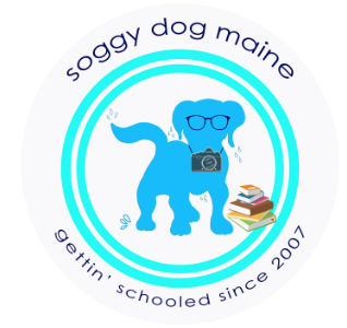 soggy dog maine gettin' schooled since 2007